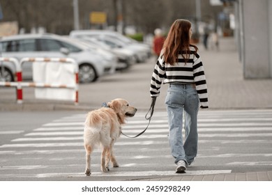 Teen Girl With Golden Retriever Crosses Hill At Crosswalk, View From Behind - Powered by Shutterstock