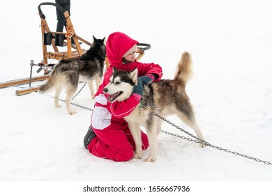 Teen Girl Hugs A Husky Dog In Winter On The Snow. Winter Fun. Dog Harness.Treating People With Dogs. Russia, Tatarstan, February 16, 2020.