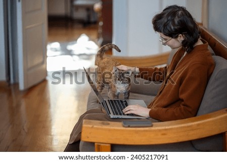 Teen girl sitting on couch, working on laptop as freelancer, studying at distant education course at home. Domestic cat diverts girl attention from work. Teenager strokes, caress purring beloved pet