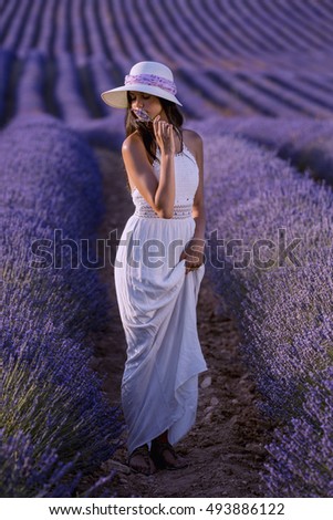 #A# Lavender walk 1