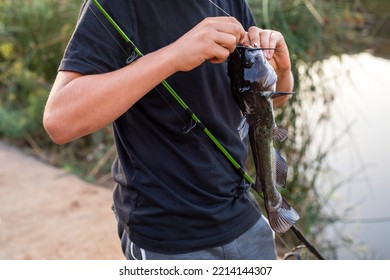 Teenage Boy In Black T-shirt Holding Fishing Rod And Taking Bullhead Fish Off The Hook. Blurred Lake On The Background,