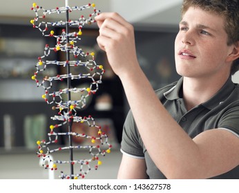 Teenage Boy Examining DNA Model In Science Class