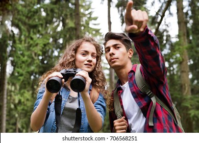 Teenage Couple Hiking In Forest. Summer Vacation.