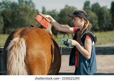 Teenage girl brushing horse croup with dandy brush in outdoors. - Powered by Shutterstock