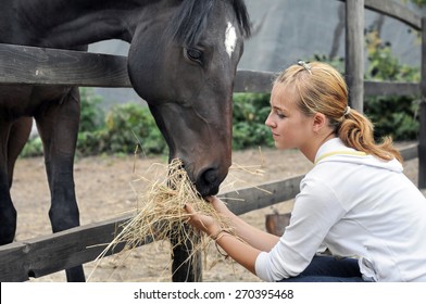 teenage girl feeding horse in the farm  - Powered by Shutterstock