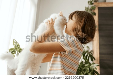 A teenage girl plays with her beloved white, fluffy kitten. The child kisses the cat. Love and care for pets.