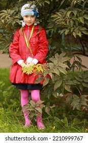 A Teenage Girl In A Red Jacket Near A Green Bush Stands Thinking