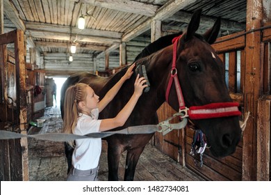 A teenage girl rider washes and brushes a horse in stable. Take care of the horses. - Powered by Shutterstock