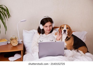 A teenage girl is sitting on the bed under a blanket, wearing headphones, looking at the laptop screen. A beagle dog is nearby. Preparing for bed. Home interior. 