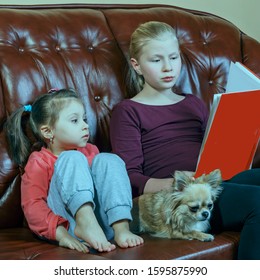 Teenage Girl Sitting On A Sofa Reading A Children's Book To Her Little Sister And Her Beloved Dog