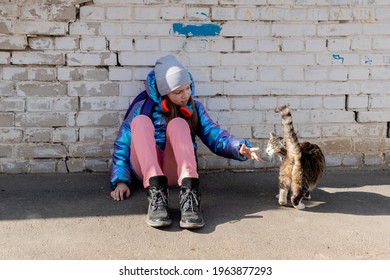 Teenage girl strokes cat the street. Concept of love for animals and environmental protection.