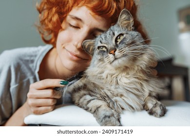 teenage girl takes care fur fluffy long-haired domestic cat. portrait gray cat lying on chair during home grooming - Powered by Shutterstock