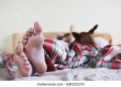 Teenage Girl's Feet When Waking Up In Morning On Wide Wooden Bed In Her Bedroom With Happy Pet Dog Best Friend Forever At Shallow Depth Of Field With Focus At Foot.
