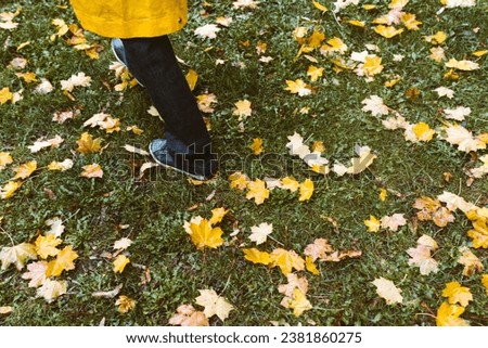 Teenage legs in sneakers and jeans standing on ground with autumn leaves, top view, unusual perspective