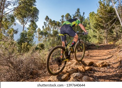 teenage mountain bike rider training on a summer evening for his next comeptition - Shutterstock ID 1397640644