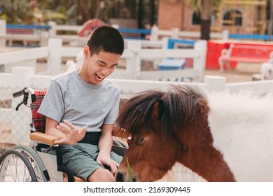 Teenager Boy With A Disability Feeding Pets With Smile And Happy Face, Training Of Muscles Through Picking, Animals Therapy For Child With Special Needs. Rehabilitation And Health Day Concept.	
