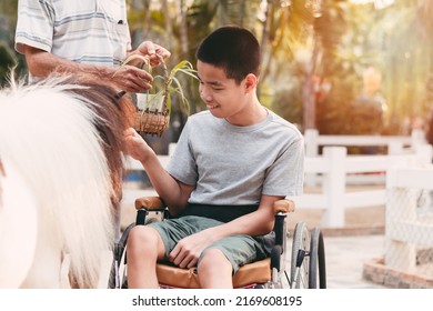 Teenager Boy With A Disability Feeding Pets With Smile And Happy Face, Training Of Muscles Through Picking, Animals Therapy For Child With Special Needs. Rehabilitation And Health Day Concept.