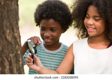 Teenager Boy And Girl Examining The Tree Stem Through Magnifying Glass. Group Of African American Children Exploring Nature On The Tree With Magnifying Glass. Education And Discovery Concept