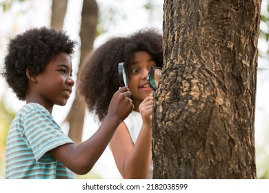 Teenager boy and girl examining the tree stem through magnifying glass. Group of African American children exploring nature on the tree with magnifying glass. Education and discovery concept - Powered by Shutterstock