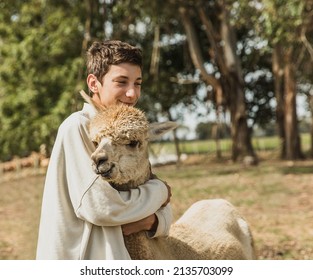 teenager boy playing with an alpaca on natural background, llama on a farm, domesticated wild animal cute and funny with curly hair used for wool. High quality photo