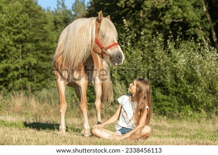 A teenager girl with her haflinger horse in summer outdoors, girl and horse friendship scene