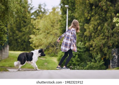 Teenager Girl Pulling His Stubborn Dog On Pet Leash During Walk In City. 