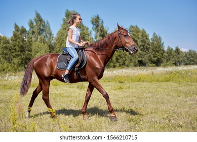 3,831件の「Horse Riding Teen」の画像、写真素材、ベクター画像 | Shutterstock