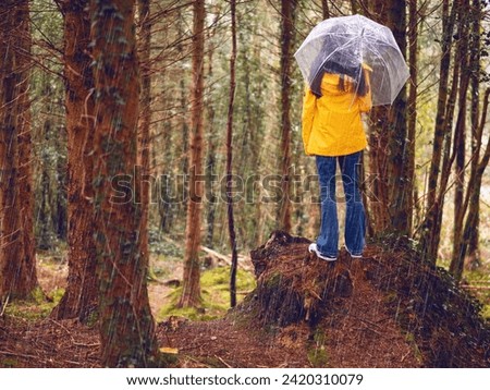Teenager girl standing on high ground looking at nature scene of a forest park. Model wearing yellow tourist jacket, blue jeans and translucent umbrella. Selective focus. Explore nature concept