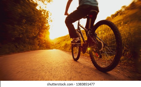teenager riding a bicycle on the road summer sunlit, bike ride
