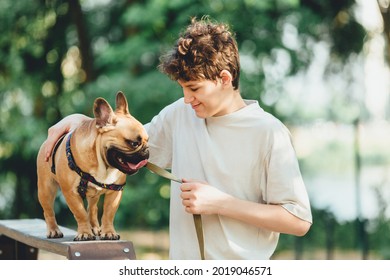 Teenager Teaching His Cute French Bulldog On Special Playground For Dogs. Boy Learning Commands With Red Bulldog In The Park. Practice With A Dog Outside. Still Life, Friendship With A Puppy