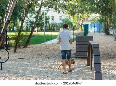 Teenager Teaching His Cute French Bulldog On Special Playground For Dogs. Practice With A Dog Outside. Still Life, Friendship With A Puppy