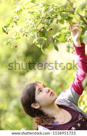 Similar – Senior woman and little girl picking apples from tree