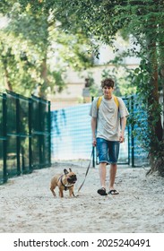 Teenager Walking With Cute Big Red French Bulldog In The Park. Still Life, Friendship, Companionship With A Dog, Love And Care	
