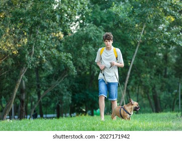 Teenager Walking With Cute Big Red French Bulldog In The Park. Still Life, Friendship, Companionship With A Dog, Love And Care	