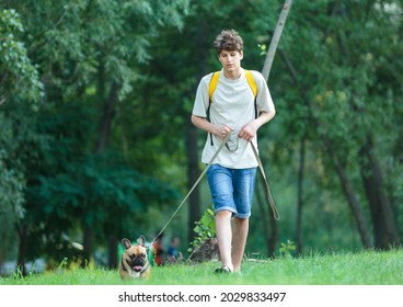 Teenager Walking With Cute Big Red French Bulldog In The Park. Still Life, Friendship, Companionship With A Dog, Love And Care	