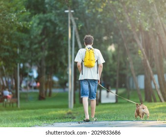 Teenager Walking With Cute Big Red French Bulldog In The Park. Still Life, Friendship, Companionship With A Dog, Love And Care	