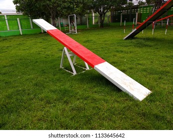 Teeter Totter One Kind Dog Agility Stock Photo 1133645642 | Shutterstock