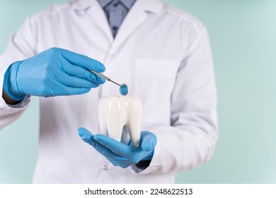 Teeth care and whitening, dental treatment, tooth restauration, implant concept. Hygienist, orthodontist. Dental clinic special offer. A male dentist holds a healthy tooth model in his hands. - Powered by Shutterstock