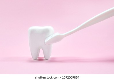 Teeth model cleaning example with toothbrush to protect tooth decay. 