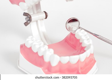 teeth model and dental tool