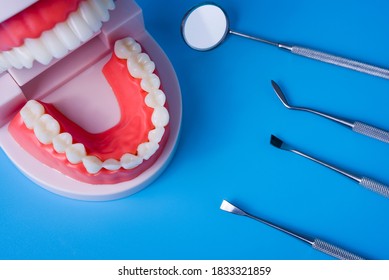Teeth model with dental tools on blue background. Concept of dentistry and dental health.