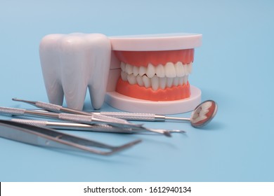 Teeth Model And Dentist Tool On Blue Background