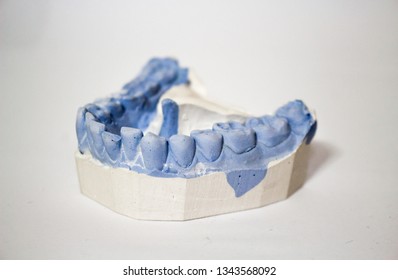 Teeth Mold Clay Mold