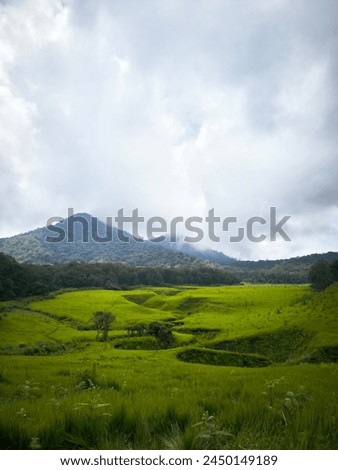 Tegal Panjang which is part of the Papandayan nature reserve in Garut Indonesia. The nature reserve is not permitted to be entered except for research and educational purposes - April 2024