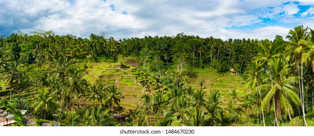 Imagenes Fotos De Stock Y Vectores Sobre Objek Shutterstock