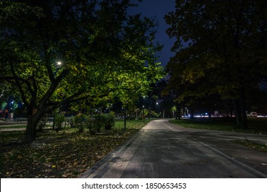 The teiled road in the night park with lanterns in autumn. Benches in the park during the autumn season at night. Illumination of a park road with lanterns at night. Park Kyoto - Powered by Shutterstock