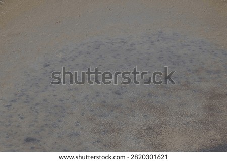 Tejo Estuary Mudflat Patterns Revealing Fragility Balance And Environmental Change