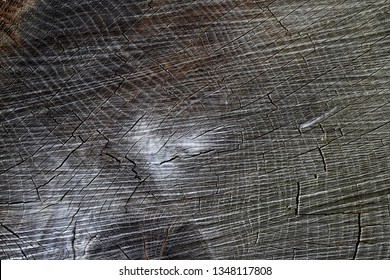 tekstura drewna, naturalna struktura - Shutterstock ID 1348117808