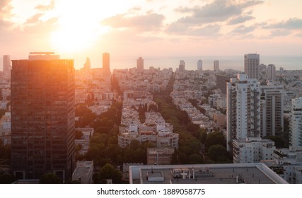 Tel Aviv top view: dormitory green quaters at sunset