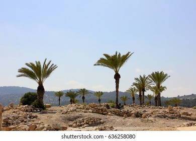 Tel Megiddo